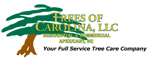 Trees of Carolina